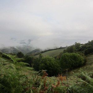 Meet your Posher, Leeane